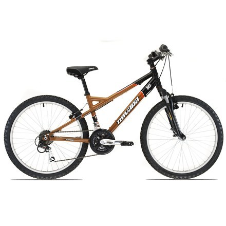 novara bikes 24