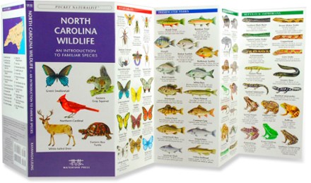 North Carolina Wildlife: An Introduction To Familiar Species 