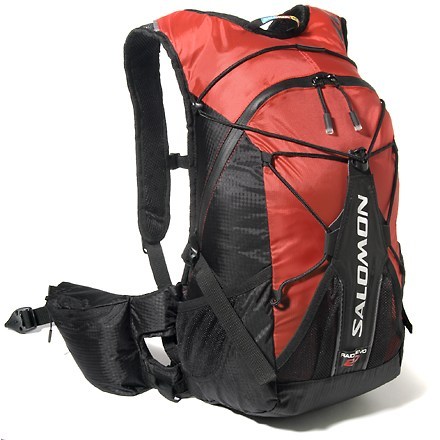 salomon wings access 3