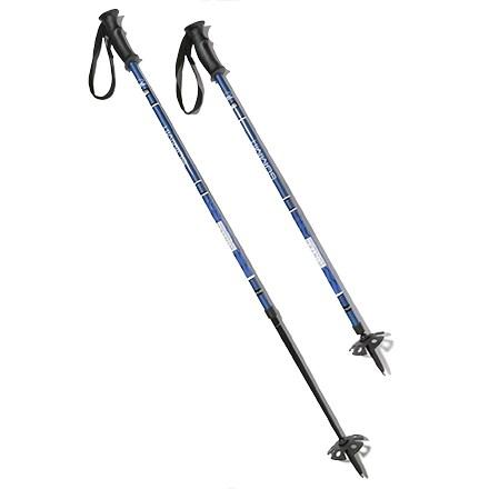 Rei Summit Trekking Pole 2024 www.cenisamoletnibileti