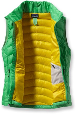 Below is the newest version of Patagonia Down Sweater Vest - Women's