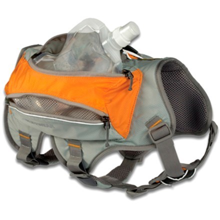 Water backpack 2025 for dogs