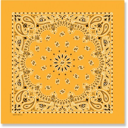 Carolina Mfg. Paisley Co-op REI Bandana 