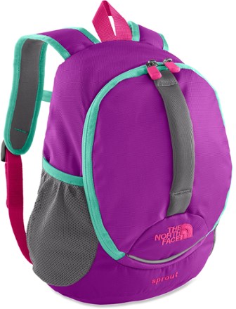 North face sprout backpack pink hotsell