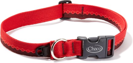 Chaco smokey the bear dog clearance collar