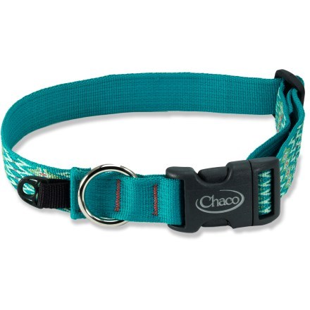 Rei best sale dog harness