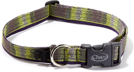 Chaco collar hot sale