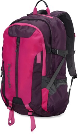 patagonia backpack pink