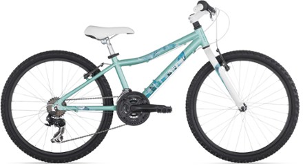 Raleigh 24 inch sales bike