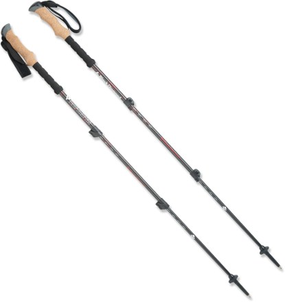 Below is the newest version of Black Diamond Alpine Carbon Cork Trekking Poles - Pair