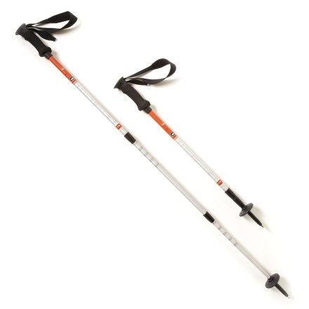 rei traverse trekking pole