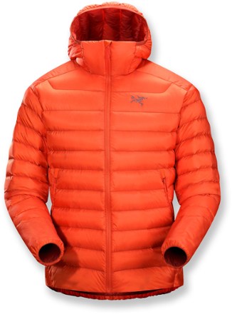 Arc'teryx Cerium LT Down Hoody Jacket - Men's | REI Co-op