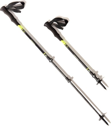 Rei trekking hot sale pole tips