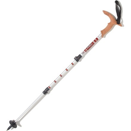 Below is the newest version of REI Co-op Walker Power Lock Staff - Single