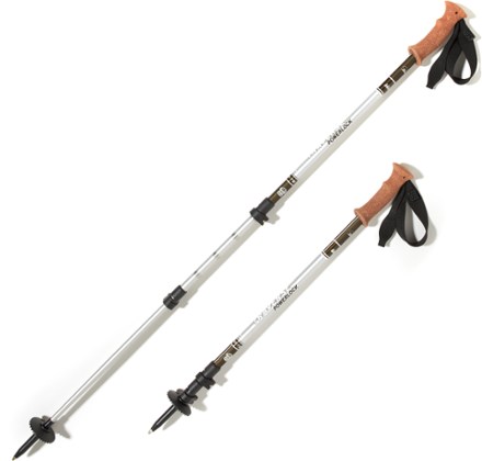 rei trekking pole