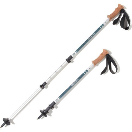 Rei traverse store trekking pole