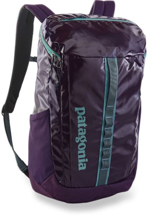 purple patagonia backpack