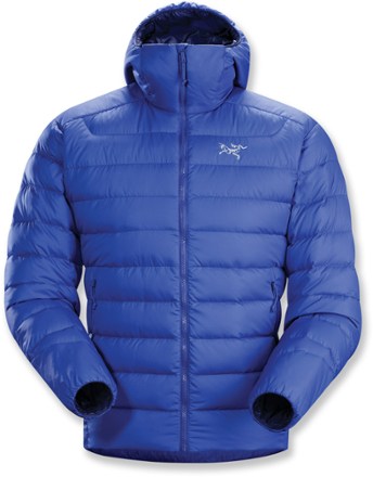 Arc'teryx Thorium AR Hoody - Men's | REI Co-op