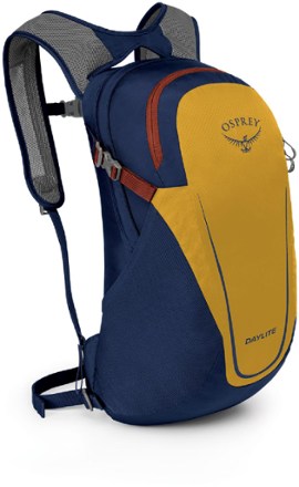 Rei osprey daypack online