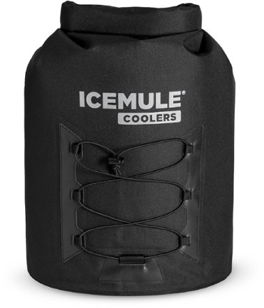 rei icemule