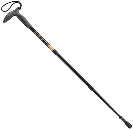 Rei leki hot sale walking sticks